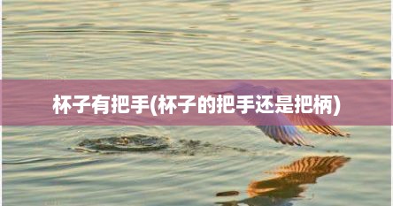 杯子有把手(杯子的把手还是把柄)