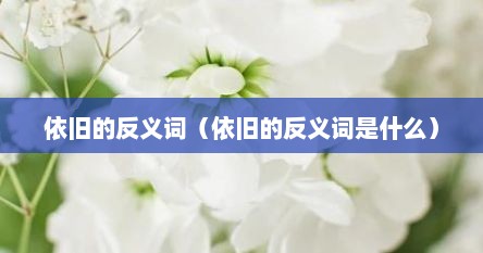 依旧的反义词（依旧的反义词是什么）