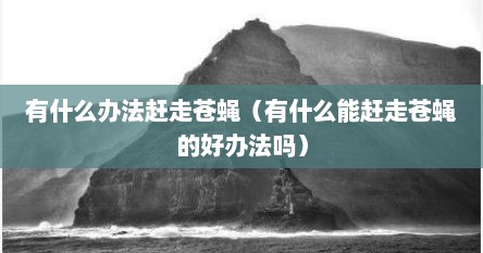有什么办法赶走苍蝇（有什么能赶走苍蝇的好办法吗）