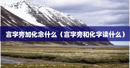 言字旁加化念什么（言字旁和化字读什么）