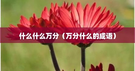 什么什么万分（万分什么的成语）