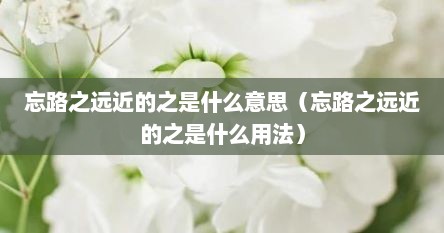 忘路之远近怎么翻译（忘路之远近的忘字妙在哪里）
