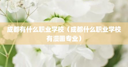 成都有什么职业学校（成都什么职业学校有漫画专业）