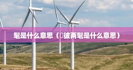 髦是什么意思（髧彼两髦是什么意思）
