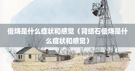 低烧是什么症状和感觉（肾结石低烧是什么症状和感觉）