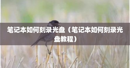笔记本如何刻录光盘（笔记本如何刻录光盘教程）