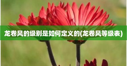 龙卷风的级别是如何定义的(龙卷风等级表)
