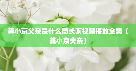 龚小京父亲是什么局长啊视频播放全集（龚小京夫亲）