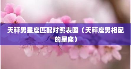 天秤男星座匹配对照表图（天秤座男相配的星座）