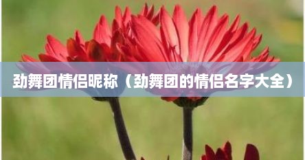 劲舞团情侣昵称（劲舞团的情侣名字大全）