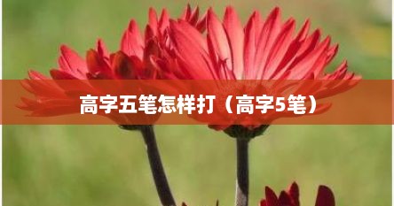 高字五笔怎样打（高字5笔）