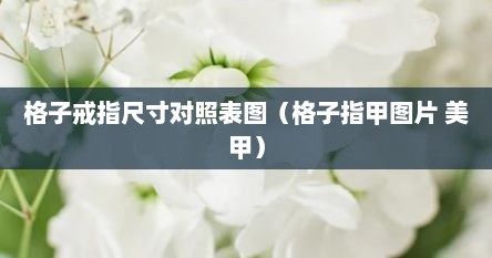 格子戒指尺寸对照表图（格子指甲图片 美甲）