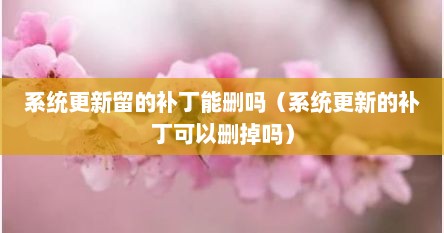 系统更新留的补丁能删吗（系统更新的补丁可以删掉吗）