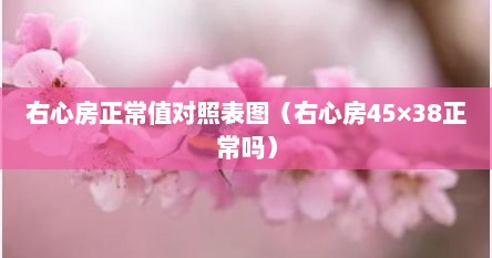 右心房正常值对照表图（右心房45×38正常吗）