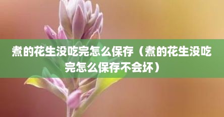 煮的花生没吃完怎么保存（煮的花生没吃完怎么保存不会坏）