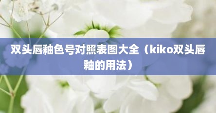 双头唇釉色号对照表图大全（kiko双头唇釉的用法）