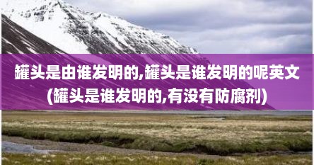 罐头是由谁发明的,罐头是谁发明的呢英文(罐头是谁发明的,有没有防腐剂)