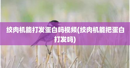绞肉机能打发蛋白吗视频(绞肉机能把蛋白打发吗)