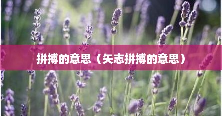 拼搏的意思（矢志拼搏的意思）