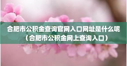 合肥市公积金查询官网入口网址是什么呢（合肥市公积金网上查询入口）
