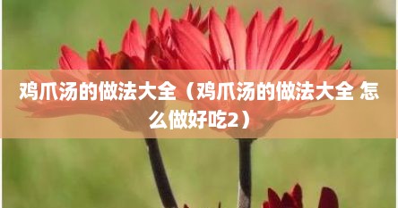 鸡爪汤的做法大全（鸡爪汤的做法大全 怎么做好吃2）