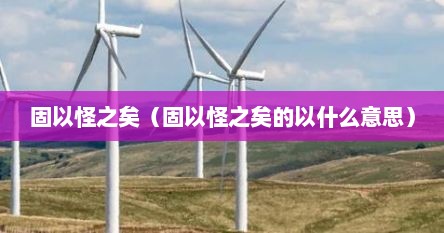 固以怪之矣（固以怪之矣的以什么意思）