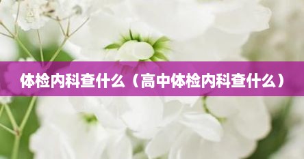 体检内科查什么（高中体检内科查什么）