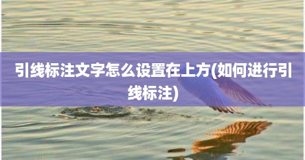 引线标注文字怎么设置在上方(如何进行引线标注)