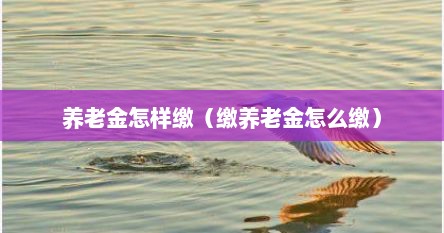 养老金怎样缴（缴养老金怎么缴）