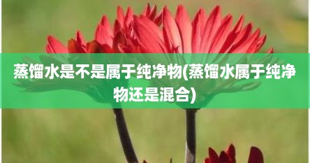 蒸馏水是不是属于纯净物(蒸馏水属于纯净物还是混合)