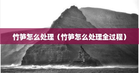 竹笋怎么处理（竹笋怎么处理全过程）