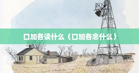 口加各读什么（口加各念什么）