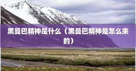 黑曼巴精神是一种怎样的存在（黑曼巴精神总结）