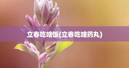 立春吃啥饭(立春吃啥药丸)