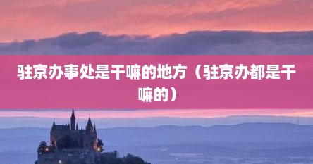 驻京办事处是干嘛的地方（驻京办都是干嘛的）