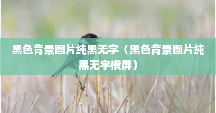 黑色背景图片纯黑无字（黑色背景图片纯黑无字横屏）