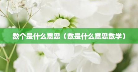 数个是什么意思（数是什么意思数学）