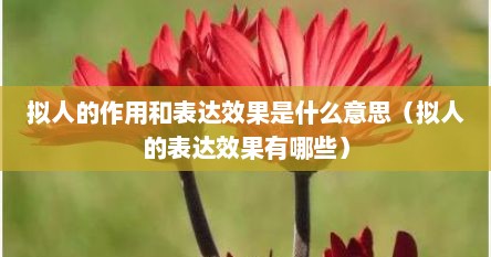 拟人的作用和表达效果是什么意思(拟人的表达效果有哪些) 拟人的作用和表达效果是什么意思(拟人的表达效果有哪些)