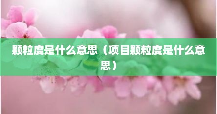 颗粒度是什么意思（项目颗粒度是什么意思）