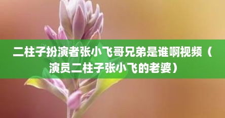 二柱子扮演者张小飞哥兄弟是谁啊视频（演员二柱子张小飞的老婆）