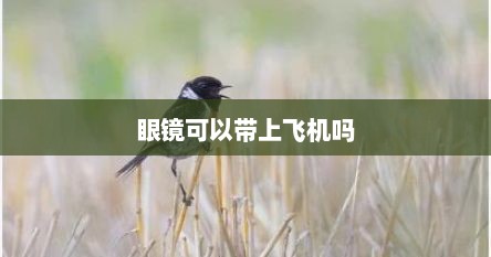 眼镜可以带上飞机吗