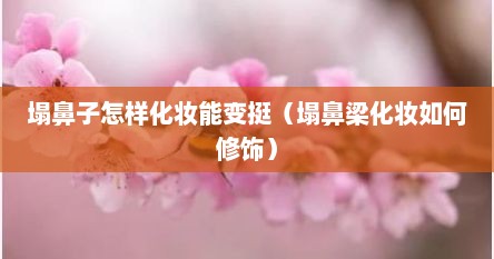 塌鼻子怎样化妆能变挺（塌鼻梁化妆如何修饰）