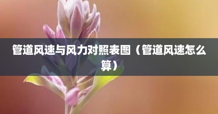 管道风速与风力对照表图（管道风速怎么算）