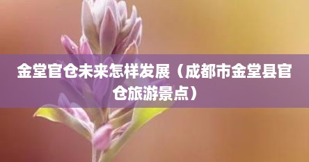 金堂官仓未来怎样发展（成都市金堂县官仓旅游景点）