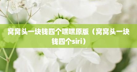 窝窝头一块钱四个嘿嘿原版（窝窝头一块钱四个siri）