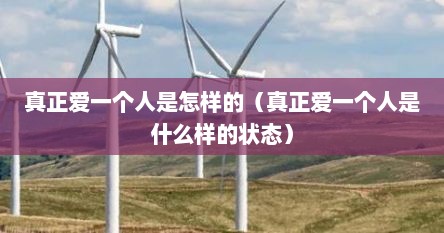 真正爱一个人是怎样的（真正爱一个人是什么样的状态）