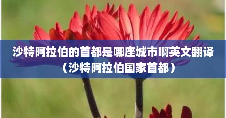 沙特阿拉伯的首都是哪座城市啊英文翻译（沙特阿拉伯国家首都）