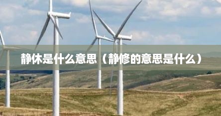 静休是什么意思（静修的意思是什么）