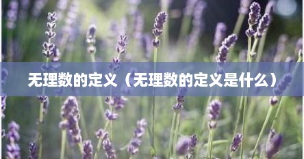 无理数的定义（无理数的定义是什么）