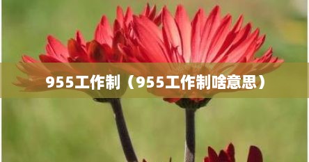 955工作制（955工作制啥意思）